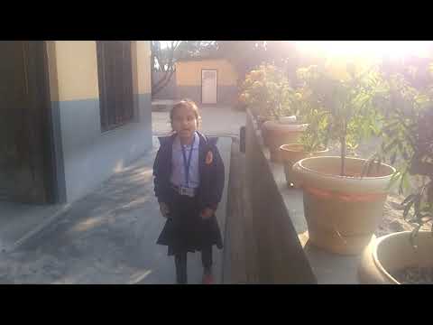 World Hello Day's Wishes from Jeevan Jyoti School